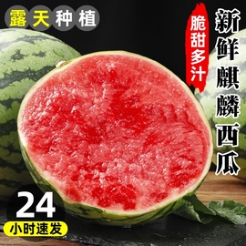 麒麟西瓜当季新鲜水果8428现摘薄皮，沙瓤麒麟小西瓜有籽甜瓜整箱