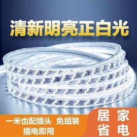 配插头灯带220V家用客厅LED灯带七彩变色户外防水跑马彩灯LED