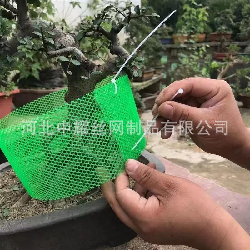 盆景高培加高围栏围网围网养鸡网