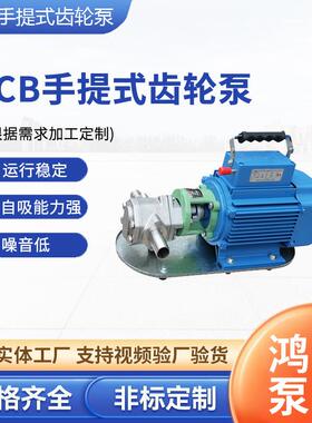 WCB手提式齿轮泵小型电动抽油泵自吸式齿轮泵柴油泵便携式手提泵