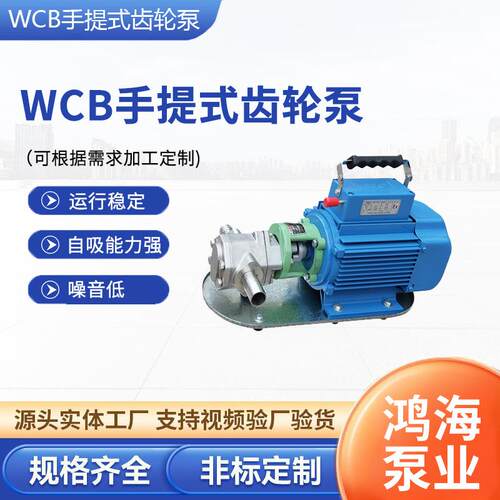 WCB手提式齿轮泵小型电动抽油泵自吸式齿轮泵柴油泵便携式手提泵