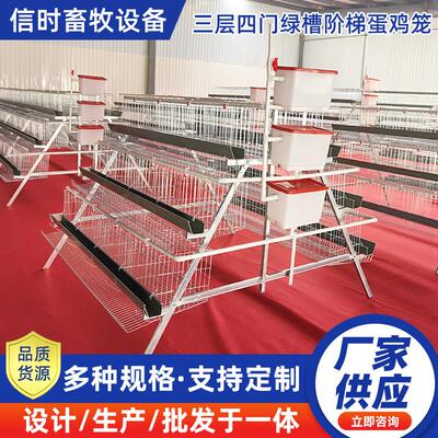 A型阶梯蛋鸡笼源头厂家三层四门阶梯蛋鸡笼热镀锌鸡舍家用养殖