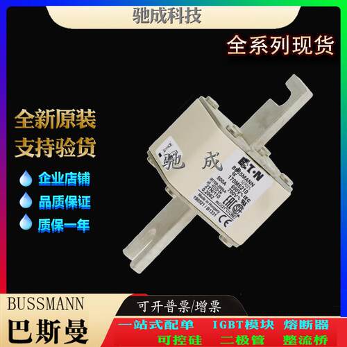 巴斯曼170M5209 170M5210 170M5211 厂家直供零售 快熔保险丝