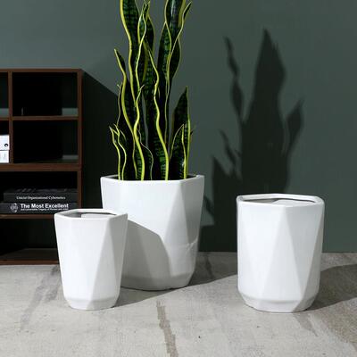 简约纯白款菱形兰花盆大号透气客厅大花盆桌面陶土花盆陶盆办公室