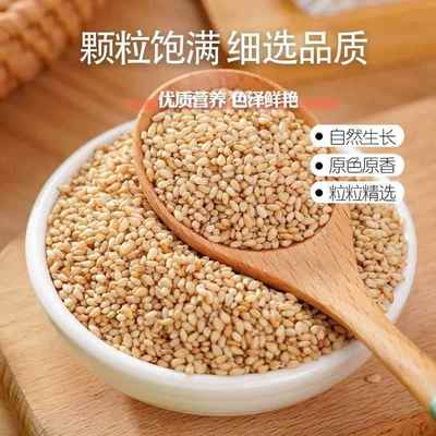 新货食用熟白芝麻即食官方旗舰店正品撒料熟家用无沙免洗小包装