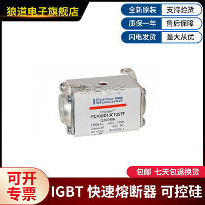 PC70UD13C125TF-Q300486 PC70UD13C160TF-R300487罗兰快速熔断器