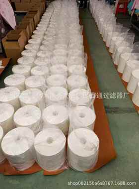 CJC风电齿轮箱滤芯 B27/27 PA560125