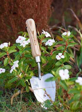 园艺佳eBrrry&Bid不钢锈园艺工具挖土种花盆栽种KMP植养花BB园艺