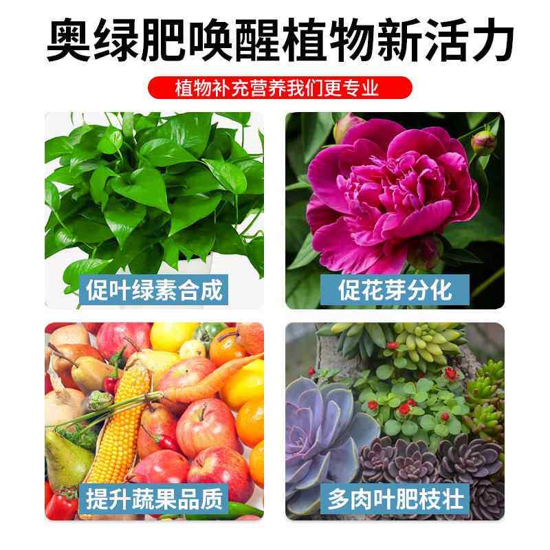 奥KN18S绿缓释肥通奥用型进口装奥原绿肥绿月季兰花专用肥料一号