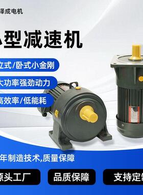 小金刚电机卧式立式3.7W卧式CH立式CV交流三相马达220V刹车