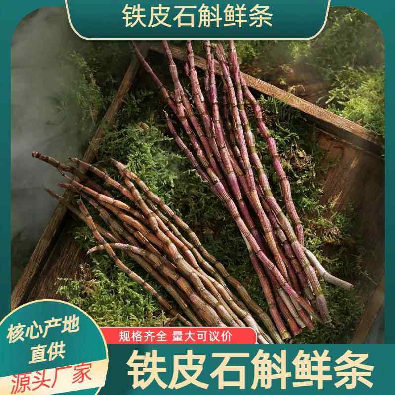 云南新鲜铁皮石斛鲜条500g四年生新鲜石斛铁皮枫斗正宗农产品礼盒