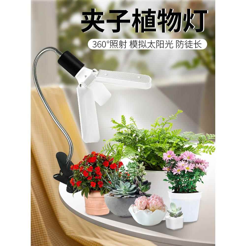 植物补光模拟阳光全光谱肉质着色生长灯室内绿色植物花Led种植灯