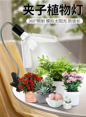 植物补光模拟阳光全光谱肉质着色生长灯室内绿色植物花Led种植灯