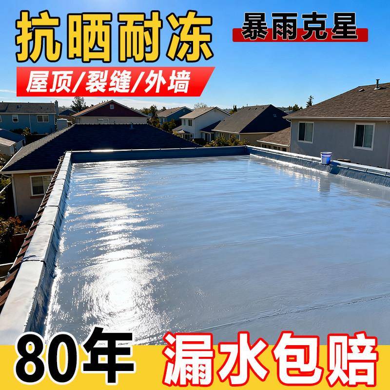 屋顶天沟防顶水涂料水补漏房水裂/缝渗漏专用涂料楼顶补漏王防水