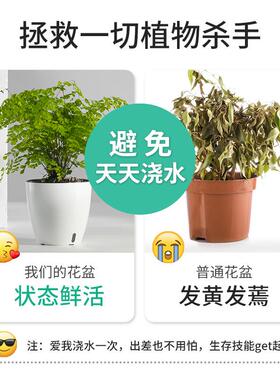 绿萝箩专用懒人花盆自动吸水培室内桌面家用养花特大中号塑料花盆