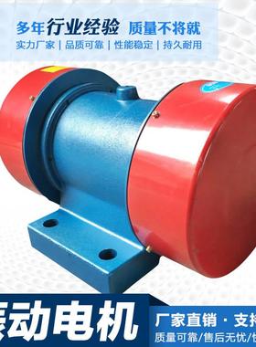 工厂直销三相异步交流振动电机YZS246级380V振动筛脱水筛震动电机