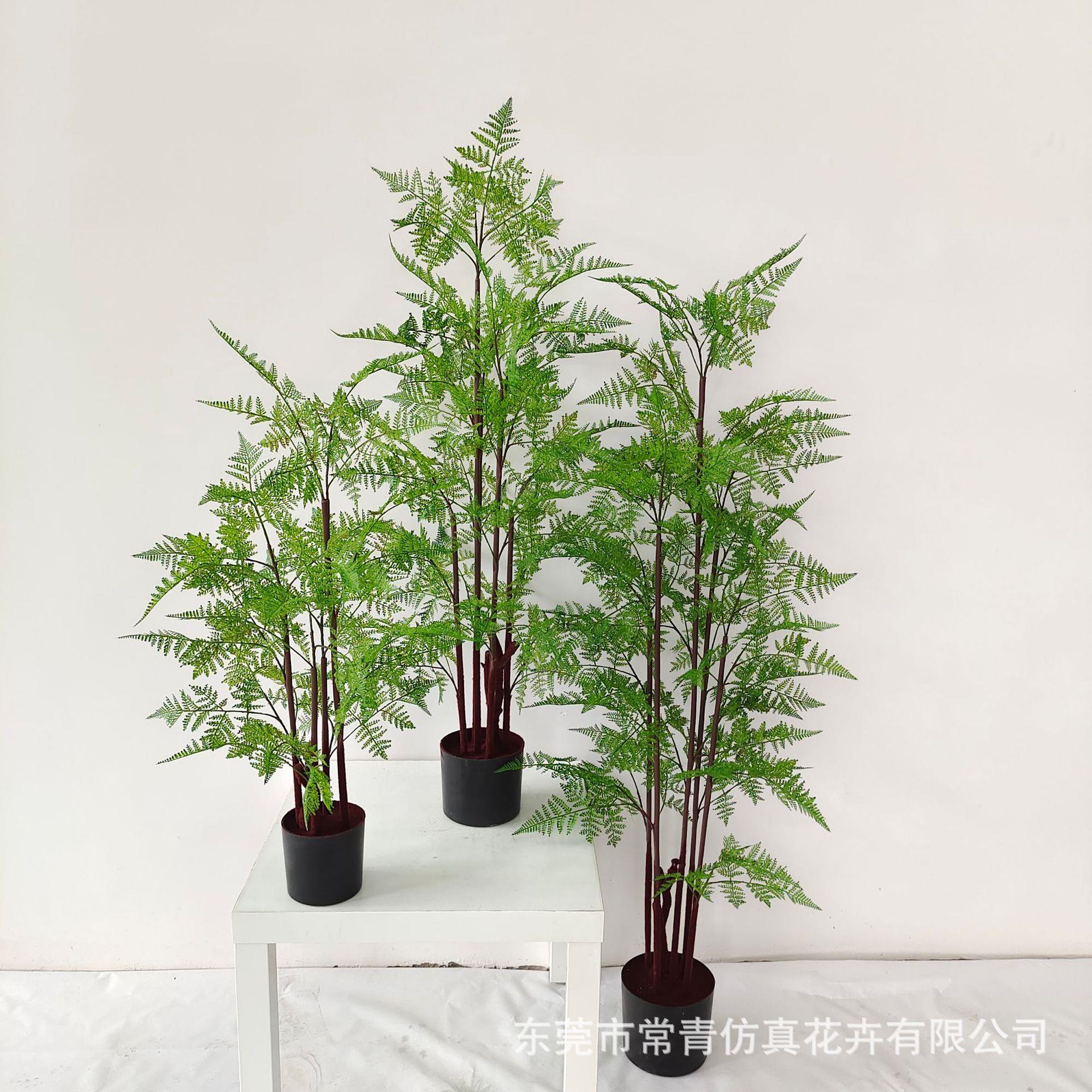 仿真蕨树植物盆栽室外室内绿植摆件现代家居酒店装饰马尾厥真图片