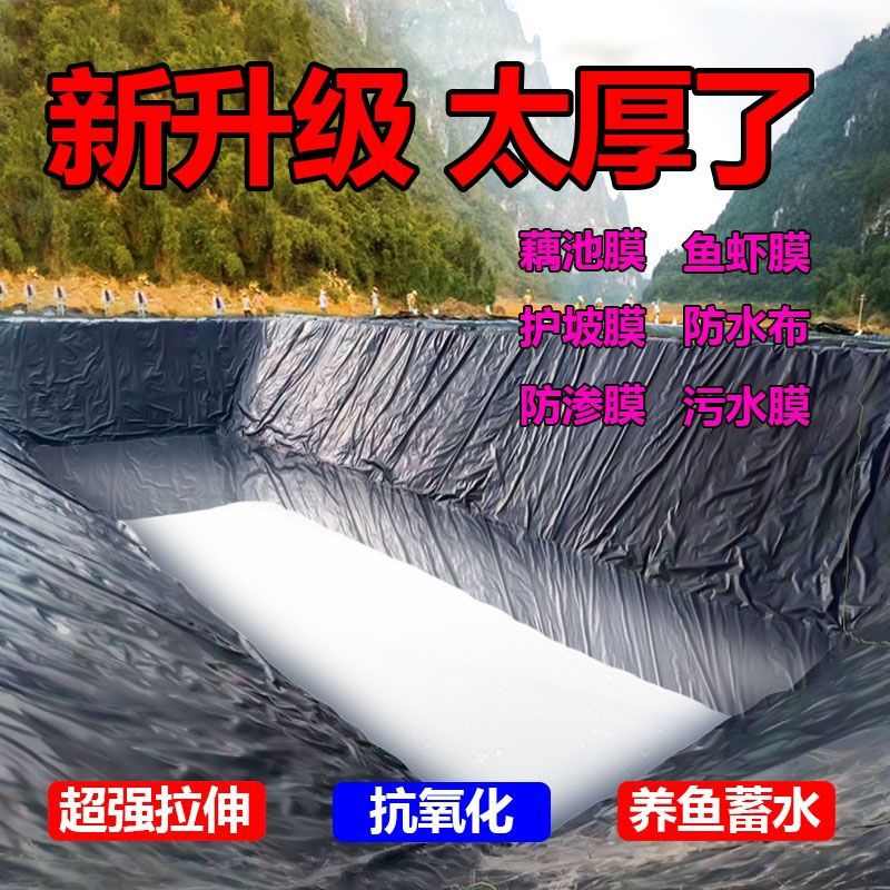 膜膜膜鱼池膜防渗水池蓄水养殖鱼塘防水布塑料加厚土工黑色膜