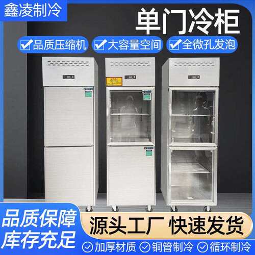 门立式冷柜冷冻厨房大容量蔬菜水果门不锈钢冰箱商用冰柜