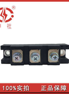 申社  常州瑞华厂家直供整流管桥臂模块MDC/MDA/MDK1101224