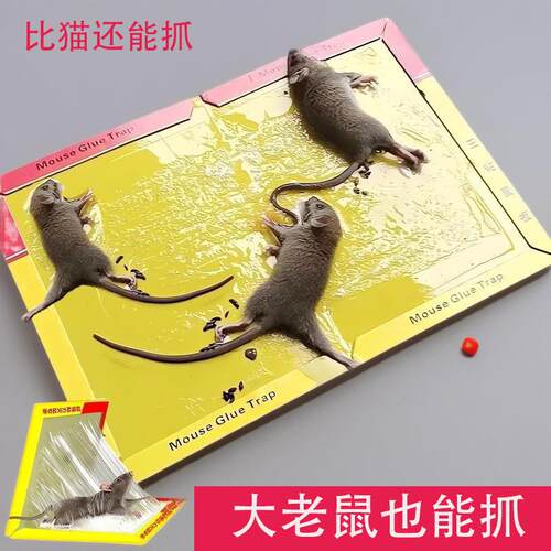 Thickened Home-use Mouse Glue Board with Bait, Sticky Mouse