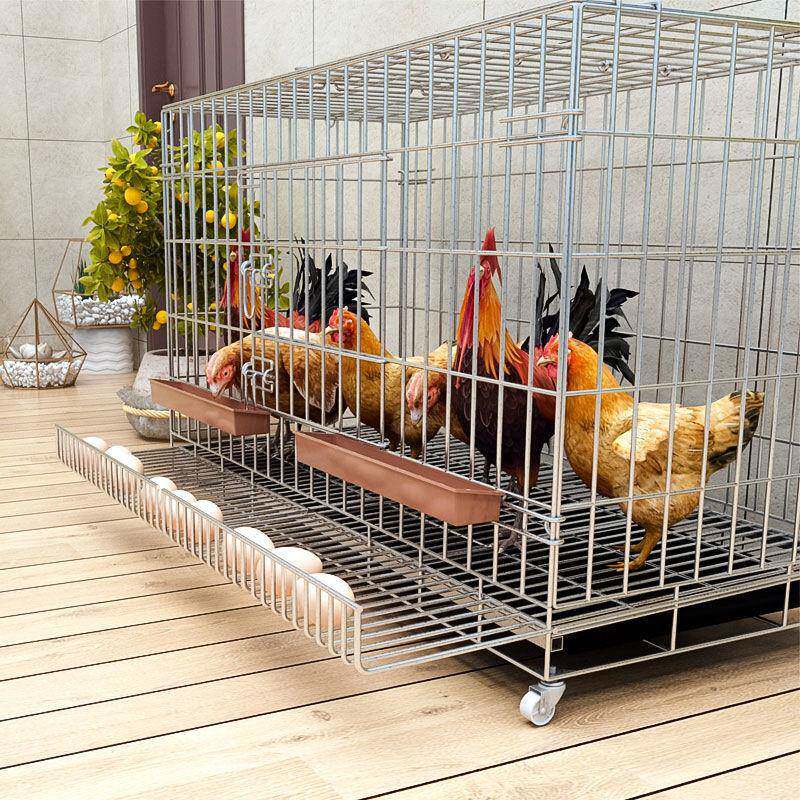 养鸡笼家用鸡笼子大号特大号自动清粪折叠养殖鸡舍铁丝网鸭鹅包邮