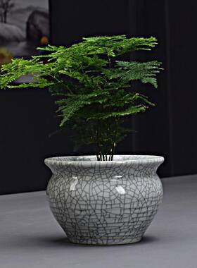 简约家用绿萝植物多肉文竹花盆透气大号蝴蝶兰盆陶瓷花卉器皿