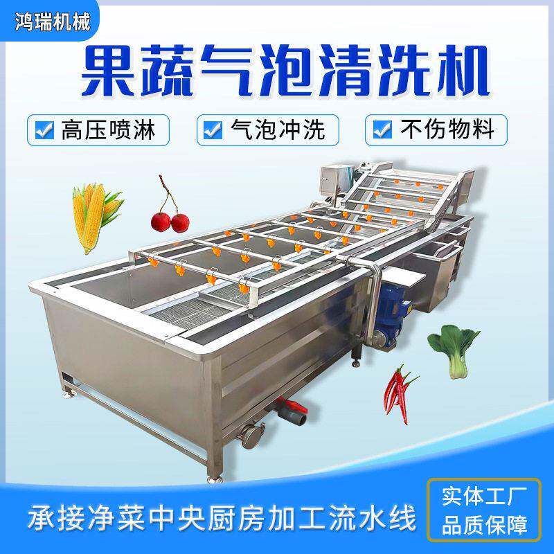 银耳地皮菜气泡清洗机设备全自动连续山楂蓝莓清洗机商用洗菜机
