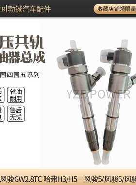 哈弗H3 H5风骏5 风骏6喷油器总成0445110293 719 共轨喷油器总成