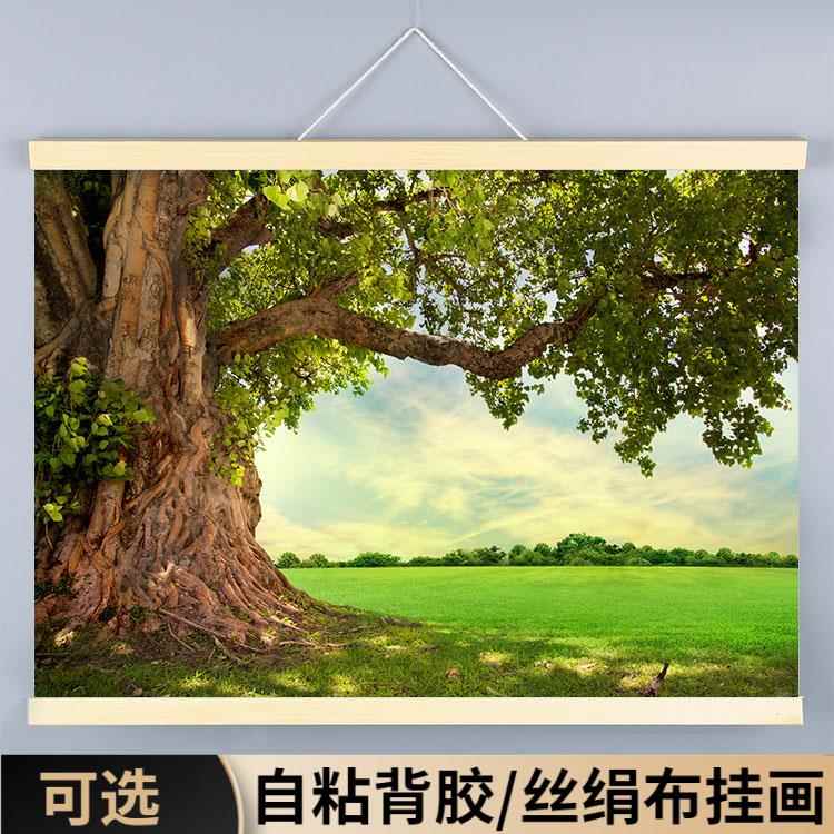 树木画森林装饰画风景窗帘田园绿色大自然唯美仙境树林背景墙贴图图片