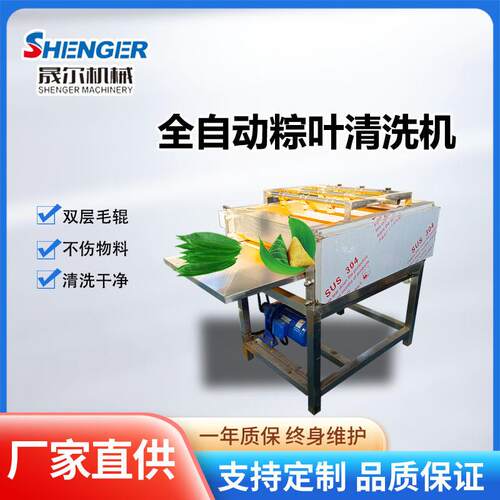连续式粽叶清洗机商用芭蕉叶琵琶叶清洗设备箬竹叶快速清洗机