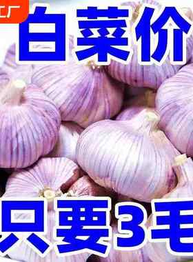 特价山东金乡紫皮大蒜头干蒜2024新鲜祘农家蒜子y自提特大
