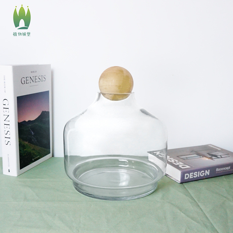 多景观水培玻璃简约苔藓微瓶植物创意花瓶水草缸生态新款摆件肉透