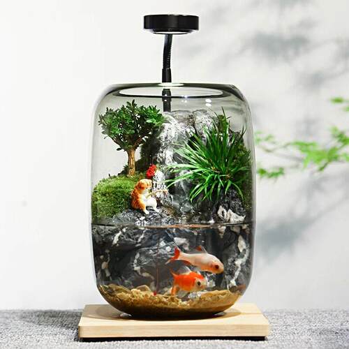 创意招财苔藓微景观流水摆件养鱼缸真植物生态瓶开 业乔迁礼品