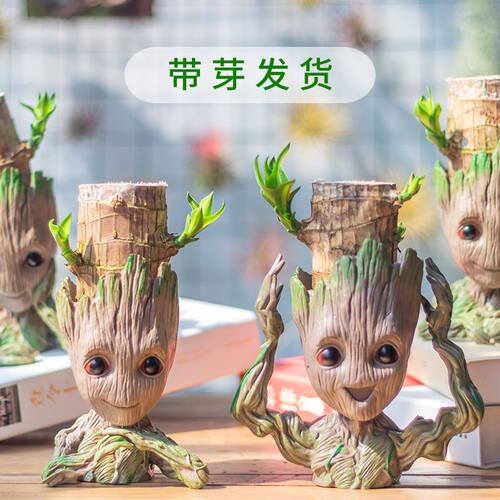 巴西木幸运木花盆室内办公室桌面盆栽格鲁特水培懒人植物净化空气