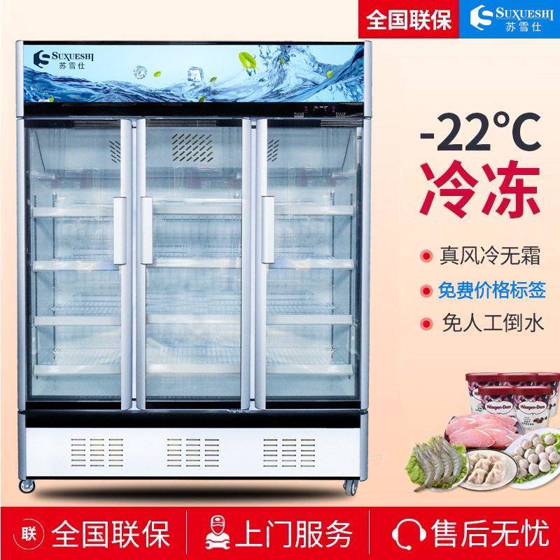 立式冷冻冰柜速冻食材牛肉排预制菜无霜冷柜速冻榴莲风冷冻展示柜