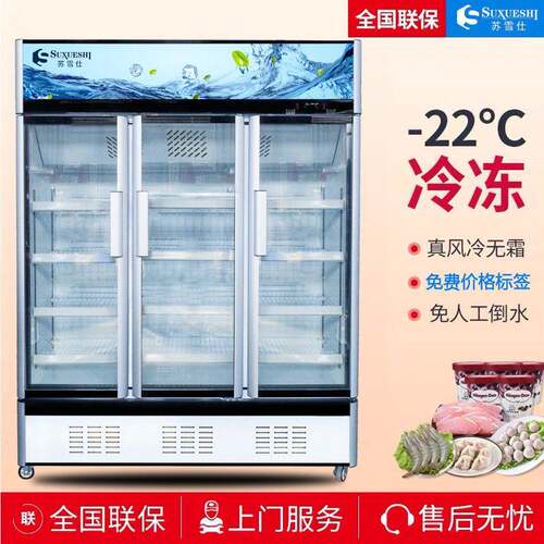 立式冷冻冰柜速冻食材牛肉排预制菜无霜冷柜速冻榴莲风冷冻展示柜