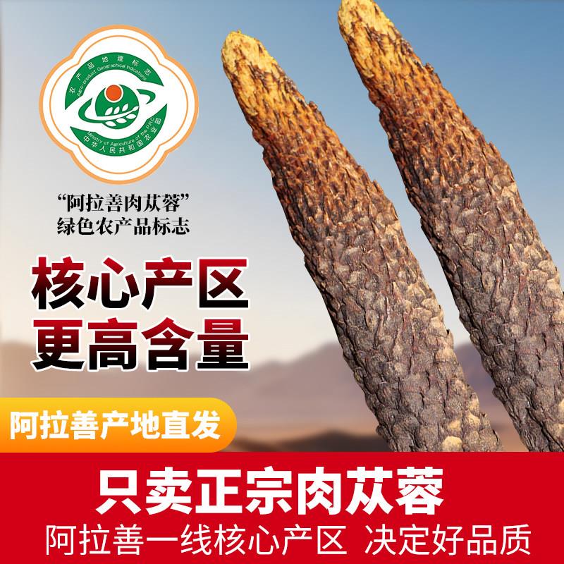 阿拉善肉苁蓉整根内蒙古正宗荒漠软性油苁蓉正品送泡茶泡酒中药料