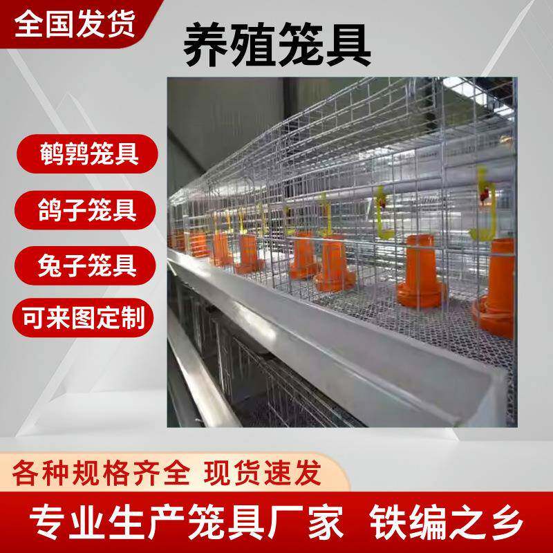 鹌鹑养殖场专用笼鹌鹑产蛋活鸟专业阶梯式1.8米带食槽鹌鹑饲养笼