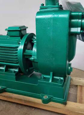 地下室排涝自吸污水泵铸铁材质浇水管道泵200ZW280-14-22