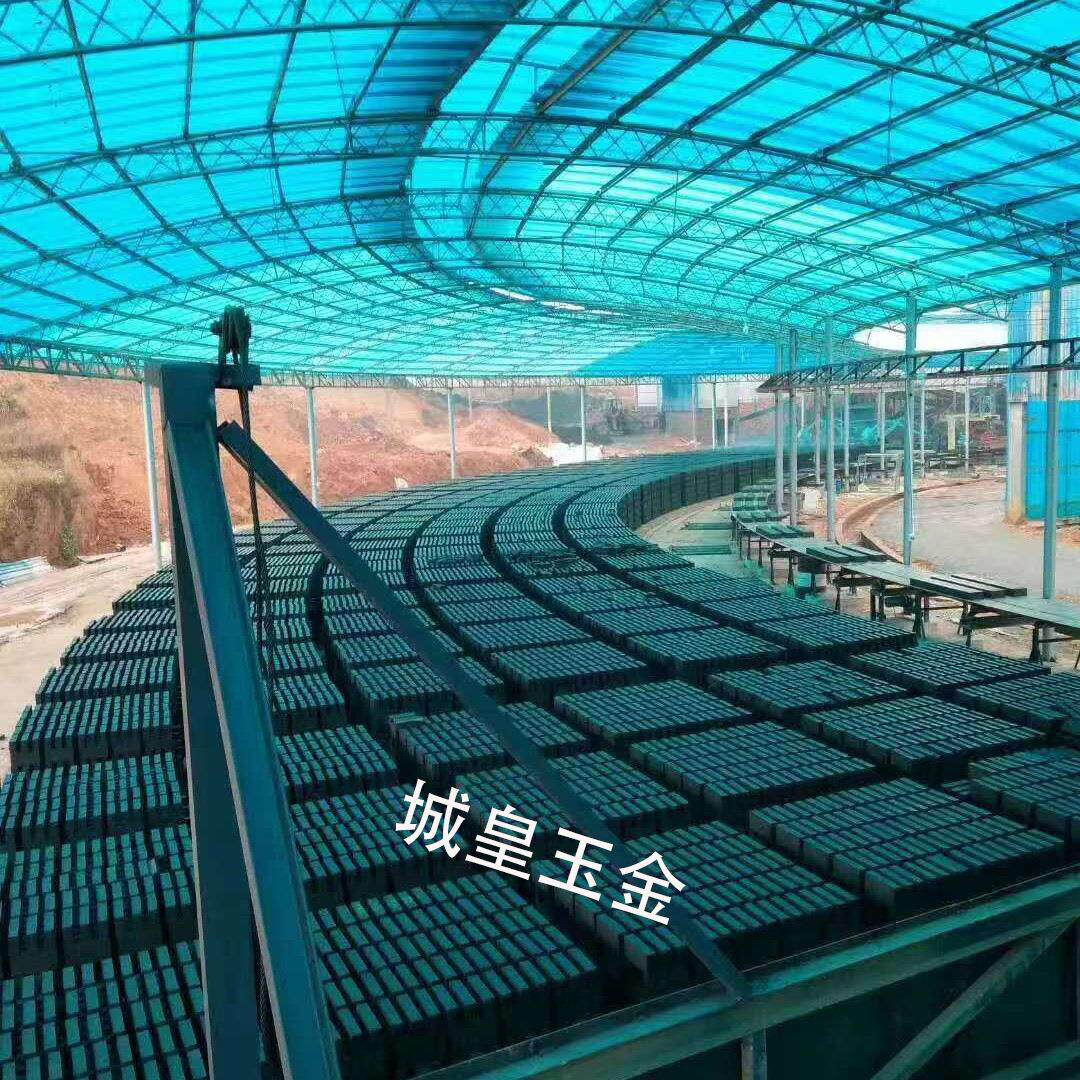大产量自动制砖机厂家烧煤红砖隧道窑炉烧砖烤箱隧道窑真空挤出