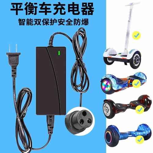 左拉两轮平衡车充电器三孔头通用儿童双轮扭扭车电源线领奥阿尔郎