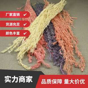 饰插瓶花diy材料包 幻花永生银桦叶100g国产天然真花花束家居装