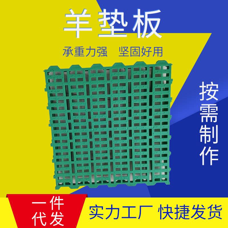 塑料养殖羊用塑料漏粪板羊床漏粪板现货圈舍漏缝大号羊垫板