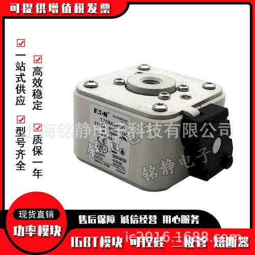 170M6463 170M6464 170M6465 170M6466 170M6467巴斯曼熔断器现货