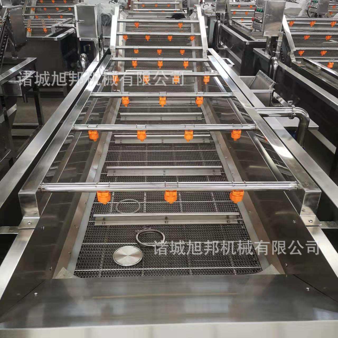 油桃鼓浪气泡清洗机 链板式茄子银耳洗菜机 喷淋式粽叶清洗设备