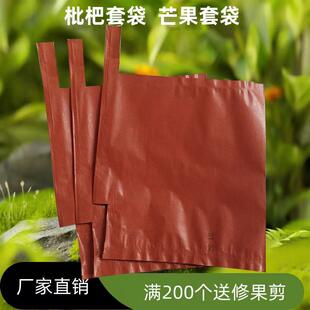 枇杷袋子枇杷专用套袋鸟果袋水果套袋芒果套袋果袋子防虫芒果袋子