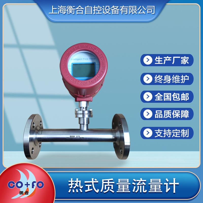 现货FAM50-T热式流量计替代百纳BANNA适用压缩空气DN25DN50