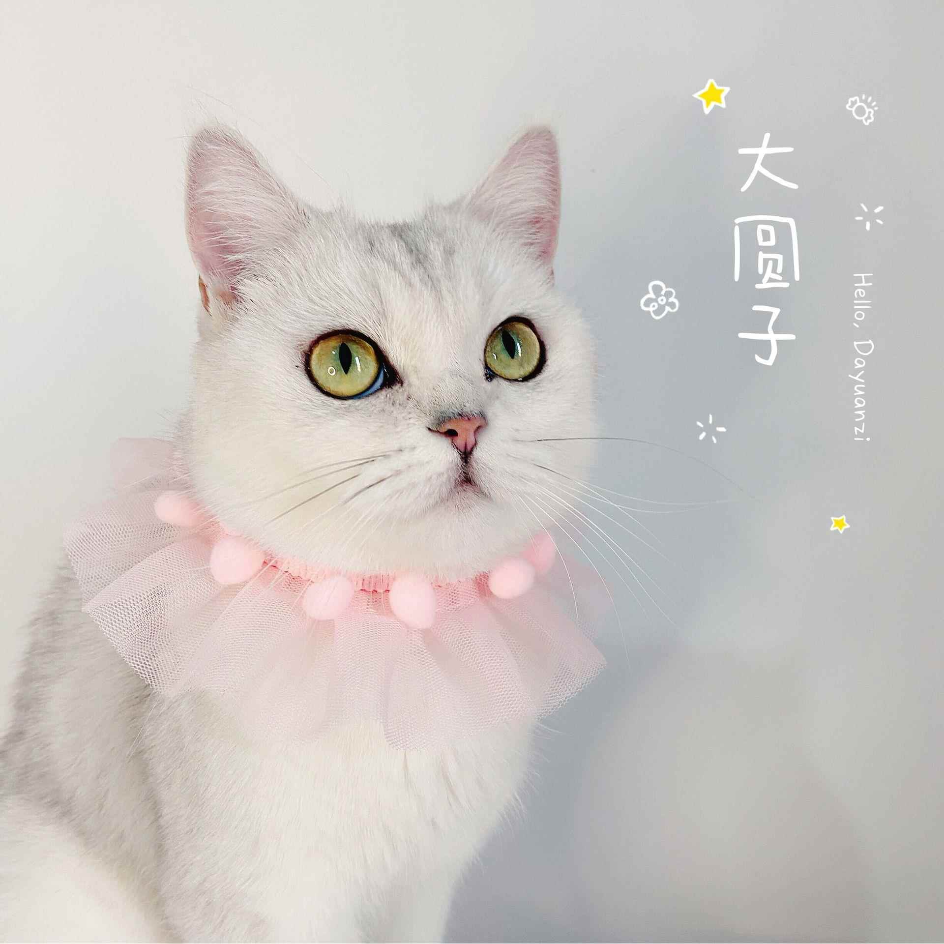 蕾丝花边宠物可调节围脖项圈猫咪狗拍照配饰亚中国风颈链可爱风