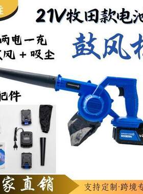 城垚锂电吹风机鼓风机除尘吸尘器大功率吹灰车载无线充电式手提
